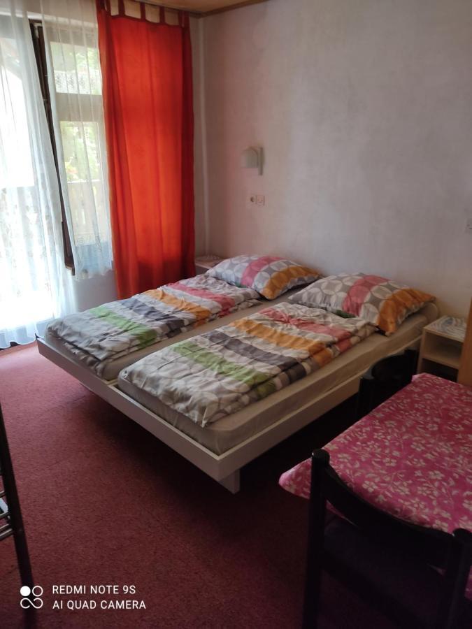 Apartament Sobe Grajska Bled Zewnętrze zdjęcie